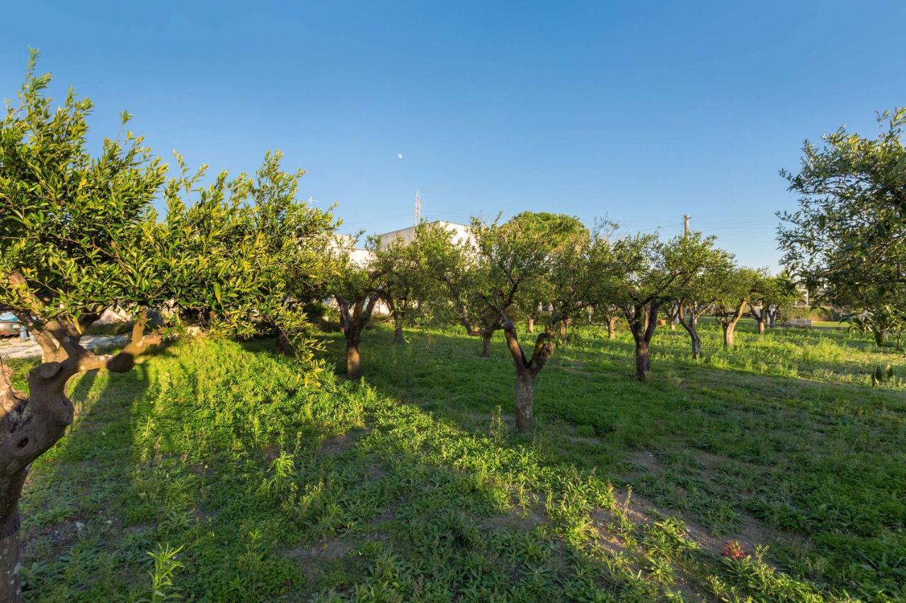 Apartament Casina Farnarari By Barbarhouse Monteroni di Lecce Zewnętrze zdjęcie